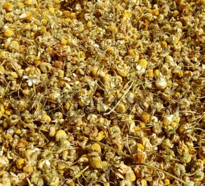 Roman Chamomile 4oz